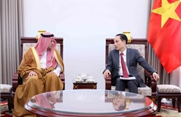 Bộ trưởng Ngoại giao Lê Hoài Trung tiếp Đại sứ Saudi Arabia chào từ biệt 