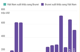 Thương mại song phương Việt Nam - Brunei
