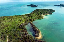 Khu bảo tồn biển Cô Tô - Đảo Trần: Phát triển kinh tế biển xanh