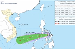 Áp thấp nhiệt đới gây gió mạnh trên vùng biển phía Đông Nam khu vực giữa Biển Đông