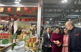 Dấu ấn đặc sắc Việt Nam tại Hội chợ Thủ công mỹ nghệ quốc tế Artigiano Milan 2025