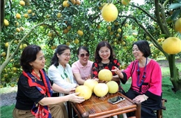 Khởi sắc du lịch qua Lễ hội trái cây Bắc Ninh 