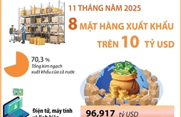 11 tháng năm 2025: 8 mặt hàng xuất khẩu trên 10 tỷ USD