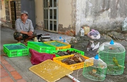 Người dân giao nộp 42 con chim, cò hoang dã để thả về tự nhiên