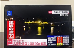 Hàng chục người bị thương sau động đất 7,5 độ ở Đông Bắc Nhật Bản