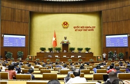 Thực hiện cơ cấu lại, nâng cao chất lượng đội ngũ viên chức gắn với vị trí việc làm