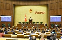 Thông qua Luật Quy hoạch (sửa đổi) và Luật Bảo hiểm tiền gửi (sửa đổi)