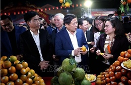 Khai mạc Lễ hội cam Cao Phong và hội chợ triển lãm sản phẩm đặc trưng