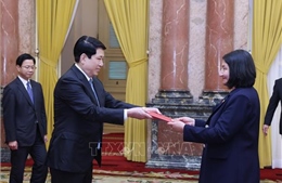 Chủ tịch nước Lương Cường tiếp Đại sứ các nước trình Thư ủy nhiệm