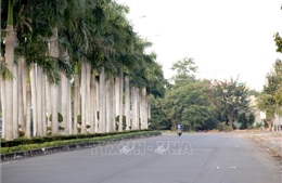 Lâm Đồng thúc tiến độ dự án đường gần 5.000 tỷ đồng nối cao tốc với Phan Thiết