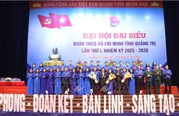 Phát huy vai trò xung kích của thanh niên trong phát triển kinh tế - xã hội