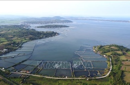 Phủ xanh rừng ngập mặn, phục hồi hệ sinh thái đầm Ô Loan (Đắk Lắk)