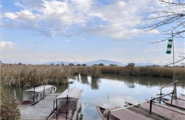 Phục hồi sinh thái - Bài 1: 'Tấm lọc' tự nhiên