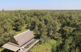 Những người giữ 'lá phổi xanh' nơi đầu nguồn biên giới Tây Nam