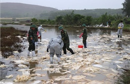 Sự cố tràn dầu ở Quảng Ngãi: khẩn trương khoanh vùng, ngăn chặn để dầu không lan rộng