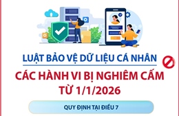 Luật Bảo vệ dữ liệu cá nhân: Các hành vi bị nghiêm cấm từ 1/1/2026