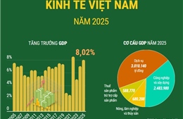 Kinh tế Việt Nam năm 2025