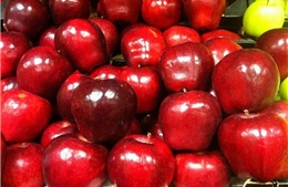 Mexico khởi động điều tra chống bán phá giá đối với táo nhập khẩu từ Mỹ