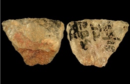 Phát hiện mũi tên tẩm độc lâu đời nhất hành tinh