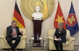 Lãnh đạo các chính đảng Đức ấn tượng trước những thành tựu của Việt Nam