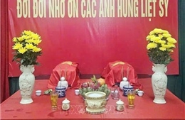 Phát hiện 2 hài cốt liệt sĩ cùng nhiều di vật trong rừng tràm