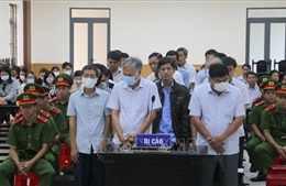 Hoãn phiên tòa xét xử 3 cựu Phó Chủ tịch UBND TP Long Xuyên (cũ) và đồng phạm