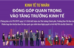Kinh tế tư nhân đóng góp quan trọng vào tăng trưởng kinh tế