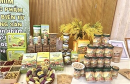Đưa đặc sản Quảng Trị lên 'kệ hàng số'