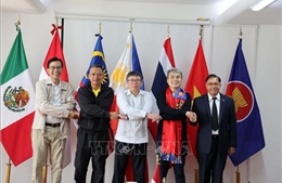 Việt Nam thể hiện tinh thần đoàn kết, trách nhiệm và hợp tác chặt chẽ trong ASEAN