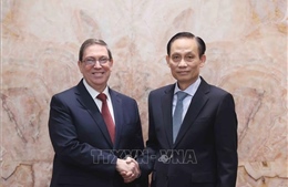 Bộ trưởng Ngoại giao Lê Hoài Trung hội đàm với Đặc phái viên, Bộ trưởng Ngoại giao Cuba