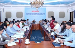 Giám sát công tác chuẩn bị và tổ chức bầu cử