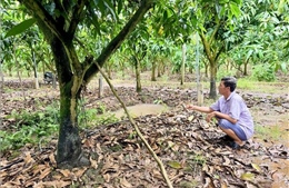 Công nghệ tưới tự động mở hướng canh tác bền vững