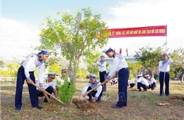 Xanh mãi Trường Sa