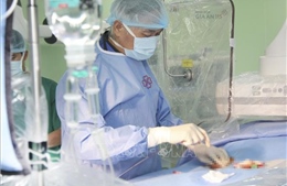 Đặt cùng lúc 5 stent động mạch giúp bệnh nhân thoát khỏi nguy cơ vỡ mạch