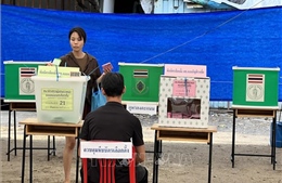 Thái Lan: Đảng Bhumjaithai liên minh với đảng Pheu Thai