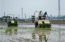 Nông dân tranh thủ thời tiết thuận lợi ra đồng sản xuất đầu Xuân