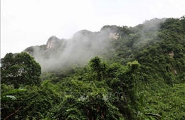 Di sản sống của Trường Sơn - Bài cuối: Tài chính xanh và kinh tế bền vững