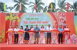 Giới thiệu những hình ảnh tiêu biểu về mùa Xuân trên phố biển