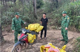 Bắt đối tượng vận chuyển trái phép thực phẩm nhập lậu