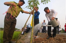 Cần Thơ: Lan tỏa phong trào vì đô thị xanh, bền vững