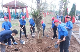 Phát động Tết trồng cây và dâng hương danh nhân văn hóa Lê Quý Đôn