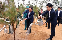 Hải Phòng, Quảng Ninh trồng cây mùa Xuân, nhớ ơn Bác Hồ