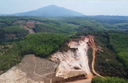 Hủy hoại gần 0,5 ha đất, một cá nhân bị xử phạt 70 triệu đồng