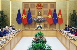 Thủ tướng tiếp Phái đoàn Liên minh Châu Âu và Đại sứ các nước thành viên EU tại Việt Nam 