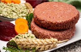 Ngành thịt thực vật - từ cơn sốt đến thách thức suy giảm