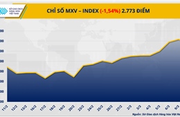Giá dầu lao dốc gần 12%, dòng tiền đầu cơ đẩy giá bạc bứt phá