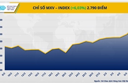 Giá dầu ‘sốt’ vì Trung Đông, MXV-Index tăng vọt hơn 6%