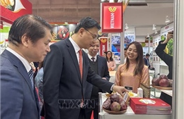 Doanh nghiệp nông sản Việt Nam khẳng định vị thế tại Foodex Japan 2026