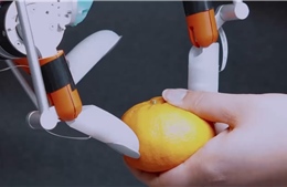 Đột phá robot dùng móng tay bóc vỏ cam, nhặt đồng xu