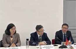 Thúc đẩy hợp tác khoa học, công nghệ và năng lượng với doanh nghiệp Pháp